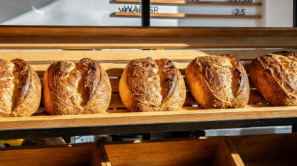 KOŁACZ Mateusz Jankowski